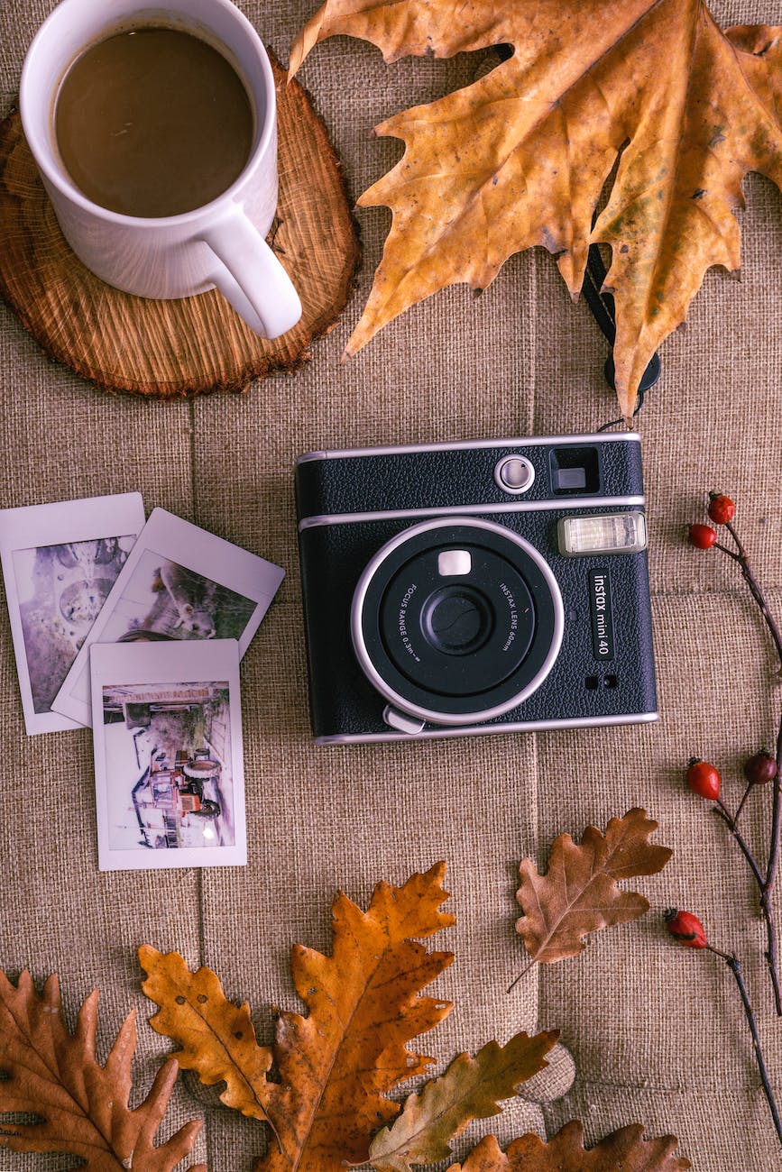 camera polaroid photos dry leaves and a mug of coffee